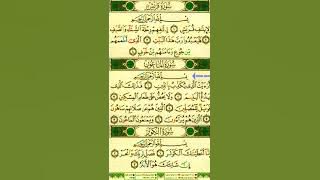 سورة قريش والماعون والكوثر بصوت المنشاوي مع احكام تلاوة ملونة