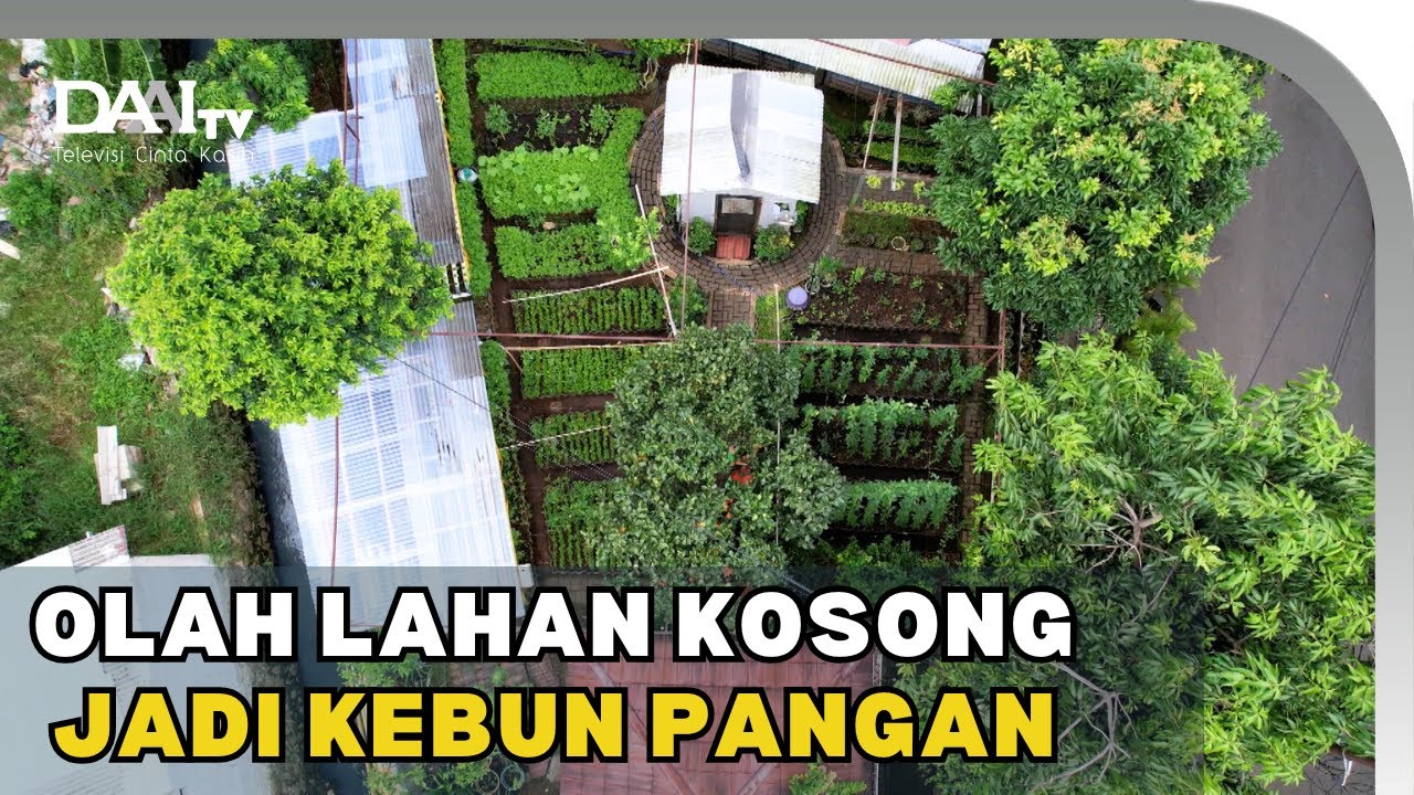 Begini Jadinya Kalau Ibu-Ibu Kompak Berkebun! - Akademi Kompos
