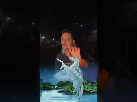 عوض ربنا الحمد لله وشكرا شكرا لأخواتي وسندي