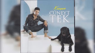 Cüneyt Tek Kurşun Albüm Kapakları