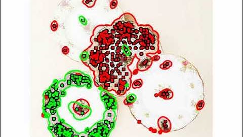 A Skewed Rotational Symmetry Detection Technique using Symmetry-Growing