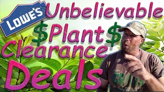 Lowes Clearance Plant Shopping! Best Deal So Far!