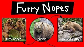 Furry Nopes, Grizlords, & Murder Carpets