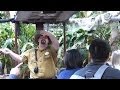 The BEST Skipper on the Jungle Cruise Ride - So Funny!  Disneyland (Full Ride) POV