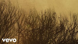 Michael Forster - Bu ert Jördin