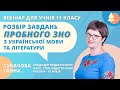 Розбір пробного ЗНО-2019: Українська мова та література. Відповіді