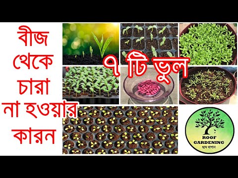 ভিডিও: কোন পুদিনা পাতা বাছাই করবেন?