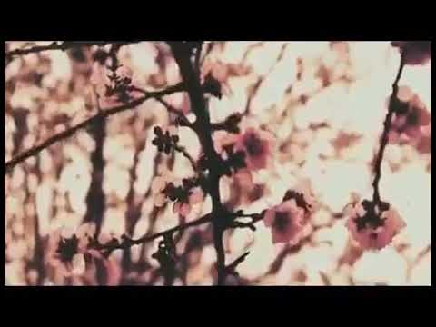 يمه ما نسيتك ثواني