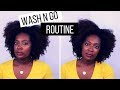 My 2018 Wash and Go Routine | Type 4 Natural Hair