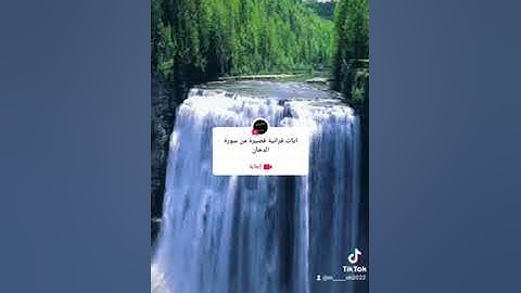 #القارئ_محمد_عبد #التوحيد_والسنة #التوحيد #يارب_فوضت_امري_اليك #ايات_قرانيه_قصيره #القرآن_الكريم