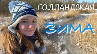 Настоящая голландская зима! Метель, замерзшие каналы, снеговики и комендантский час