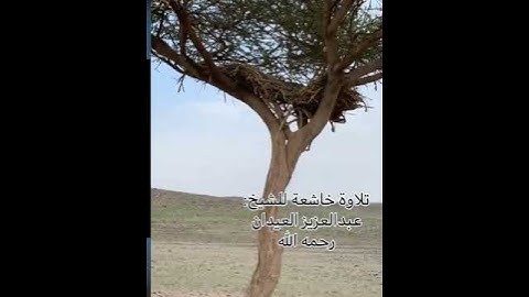 تلاوة جميلة يخشع لها القلب للشيخ: عبدالعزيز العيدان رحمه الله.﴿ولقد آتينا لقمان الحكمة أن اشكر لله﴾