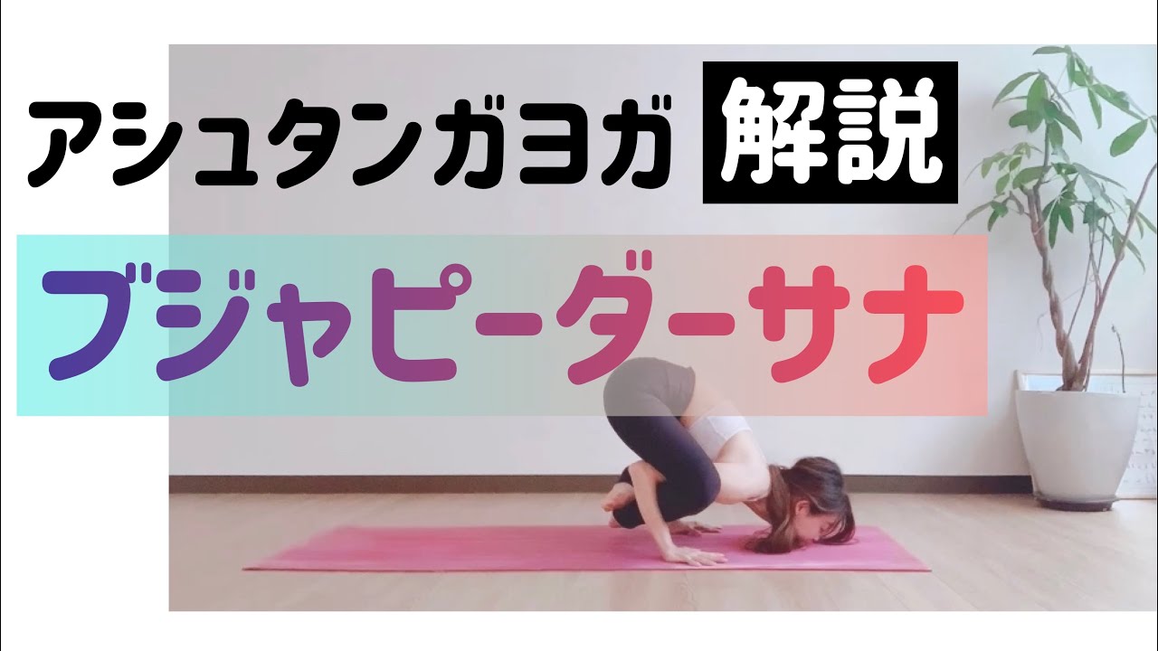 ブジャピダーサナ解説/アシュタンガヨガフルプライマリー ポーズ