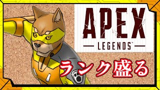 ランク盛りたい／【FPS】カラシの「APEX LEGENDS」