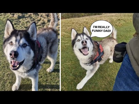 Husky Embarrasses Me In Church! Funniest Moments