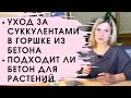 Как ухаживать за суккулентами в бетонном горшке или в кашпо из цемента.