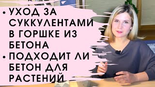 видео: Как ухаживать за суккулентами в бетонном горшке или в кашпо из цемента. картинка: Как ухаживать за суккулентами в бетонном горшке или в кашпо из цемента.