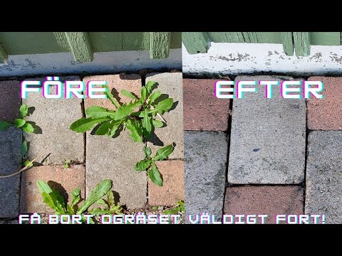 Video: 7 sätt att ta bort permanenta markeringsfläckar från trägolv