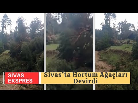 Sivas’ta Hortum Ağaçları Devirdi