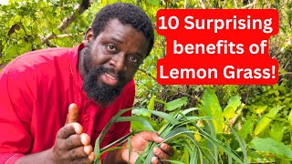 Before You Drink Lemongr Tea Again, Know These 10 Surprising Benefits 1 Bonus
