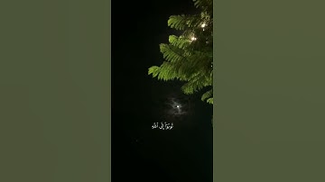 آيات القرآن الكريم سكينة ورحمة 💙💙