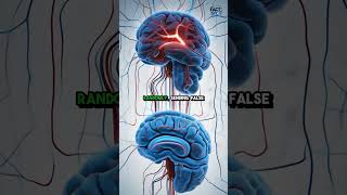 The Ghost in Your Body: Why Your Brain Still Feels Pain in Limbs That Aren't There -