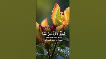 سورة الملك بصوت الشيخ عبد الباسط عبد الصمد رحمه الله تعالى #قرآن_كريم_أرح_قلبك_وسمعك