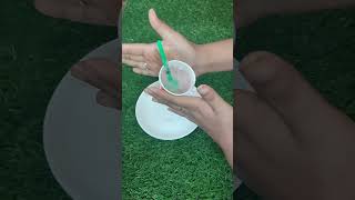 Rose Lolipop Popscile