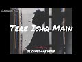 Tere ishq main  slowed  reverb  surrounding song  depressed soul