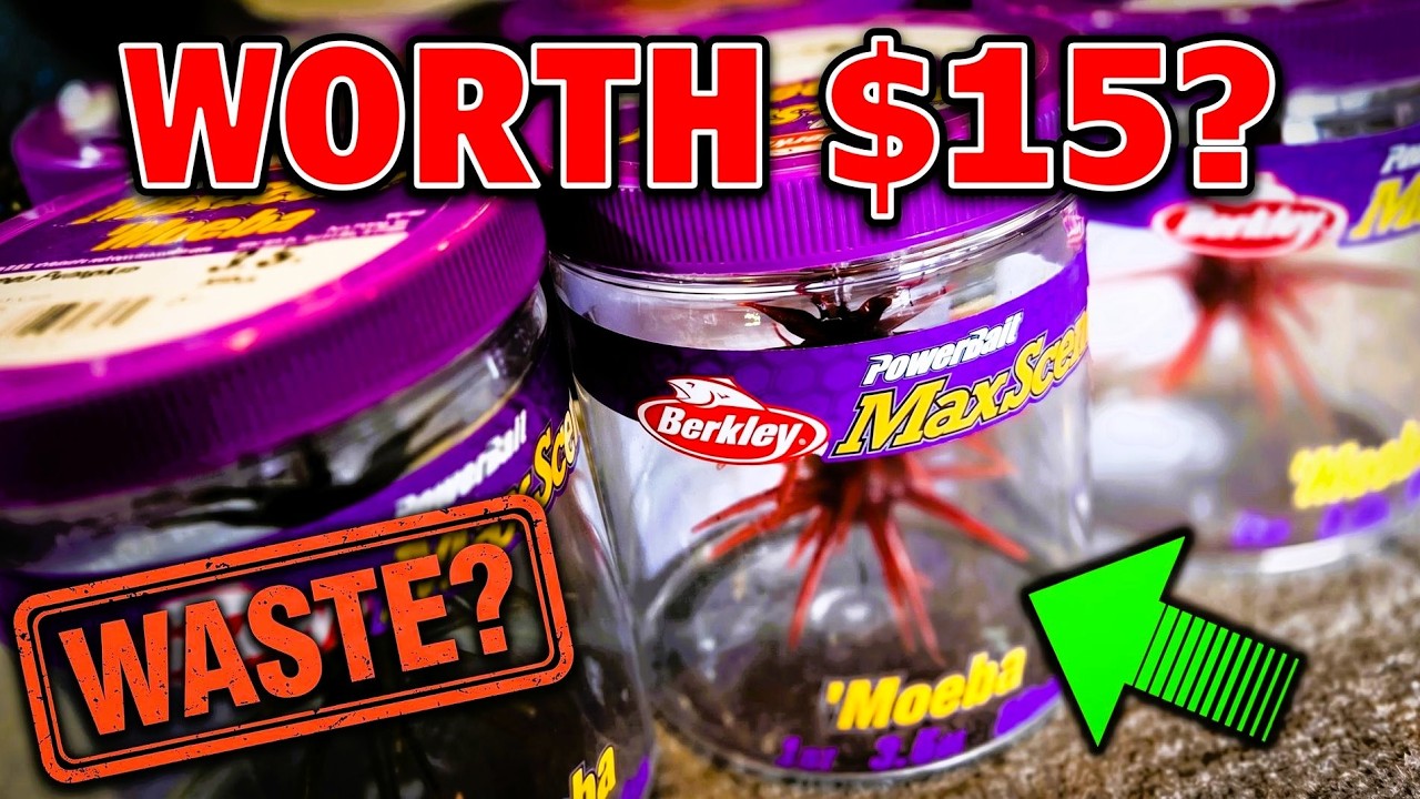 I WASTED $100 on Berkley Moebas So You Don't Have To!
