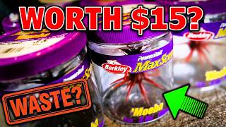 I WASTED $100 on Berkley Moebas So You Don't Have To!