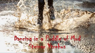 Steinar Ytrehus - Dancing In A Puddle Of Mud