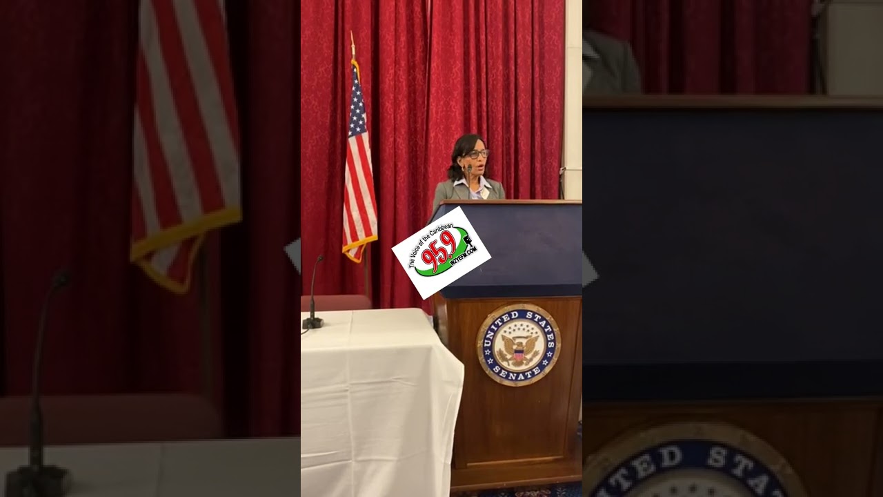 BREAKING NEWS Karen Nunez Tesheira Addressing The US Senate Today In breaking-news-karen-nunez-tesheira-addressing-the-us-senate-today-in