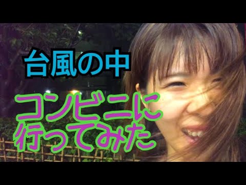 宮崎人が東京で台風に遭ったの巻