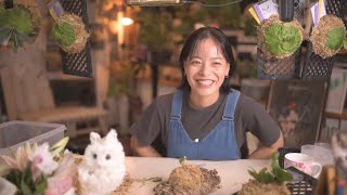 ビカクシダ板付LIVE🍀 - YouTube