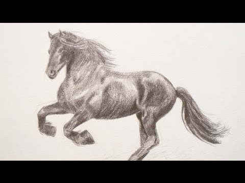 How to Draw a Horse