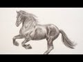 Learning to Draw: How to Draw a Horse - Fine Art-Tips.