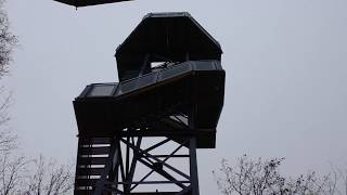 Moskitos Getunte Dicke Brummer Auf Aussichtsturm