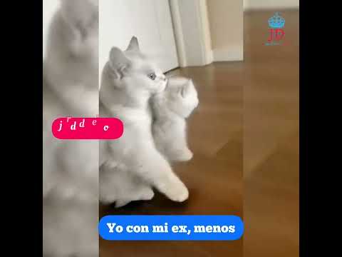 Así era mi