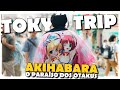 AKIHABARA, O PARAÍSO DOS OTAKUS