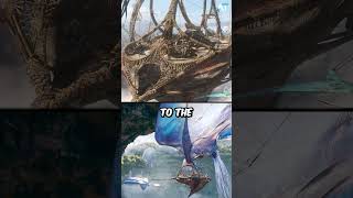 Wind Trader Gondola | Avatar Lore - Shorts