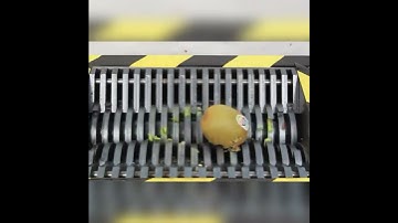 #Shredder vs kiwi #Shredding machine #mechanical #mechanic#Respect #shorts#crushing