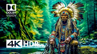 BEST OF 4K HDR Video ULTRA HD NATURE FILM - Dolby Vision