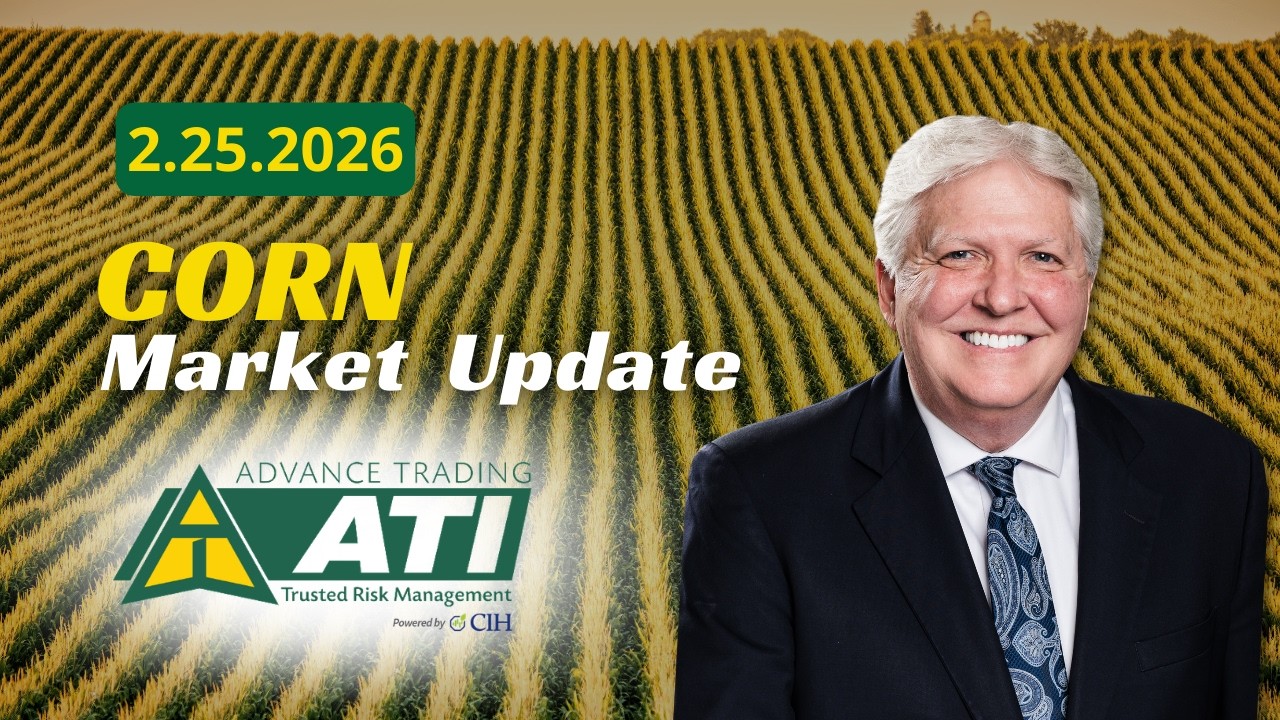 Прогноз по рынку кукурузы для предварительной торговли | 25 февраля 2026 г. #предварительнаяторго...