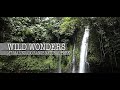 Wild wonders mt malindang range natural park