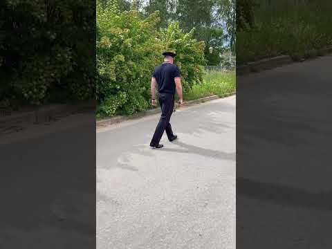 Сотрудник ГИБДД переводит
