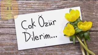 Özür Di̇leri̇m - Şi̇i̇r
