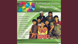 Video thumbnail of "Los Flamers - Bailando Chunchaca"