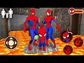 Playing as spiderman family  floor is lava in granny house