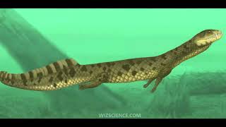 Proterochampsia: More Triassic Crocodile Mimics